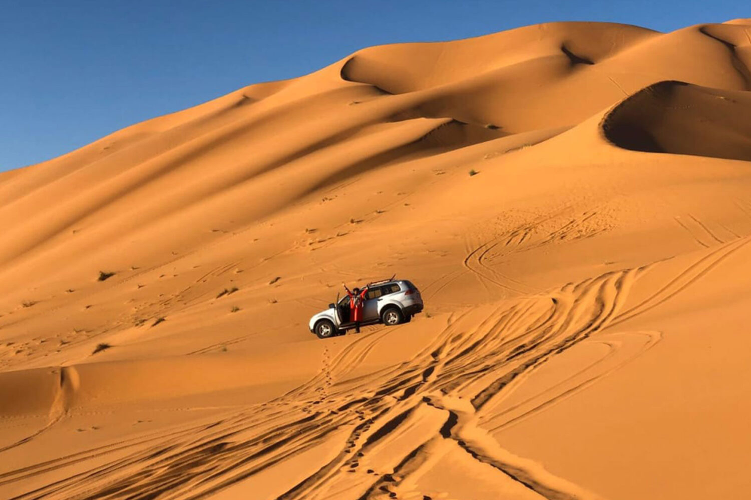 Eco-tour of the Desert