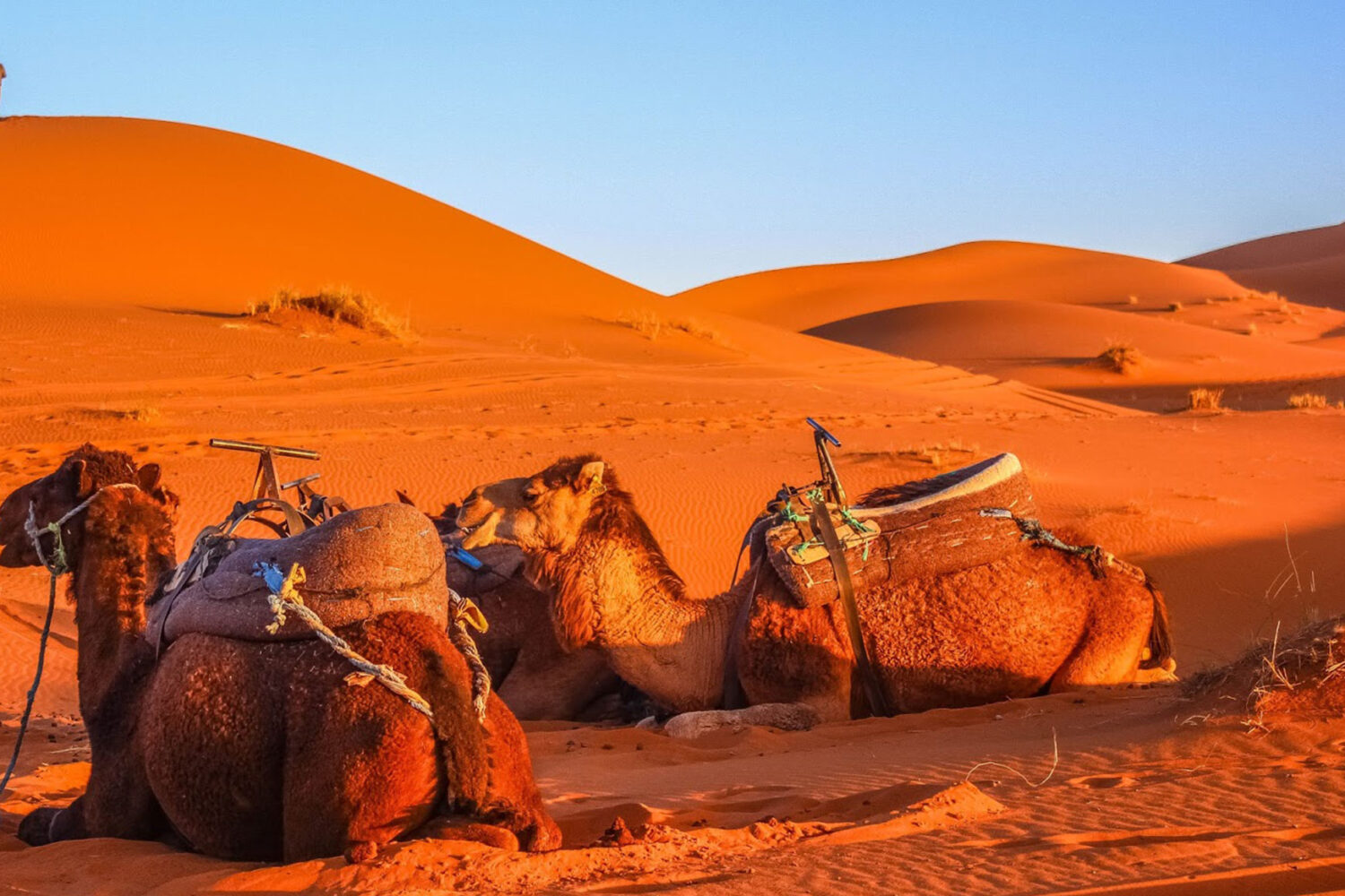 4 Days Tour From Fez to Erg Chebbi