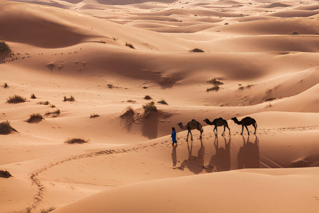 Moroccan Sahara