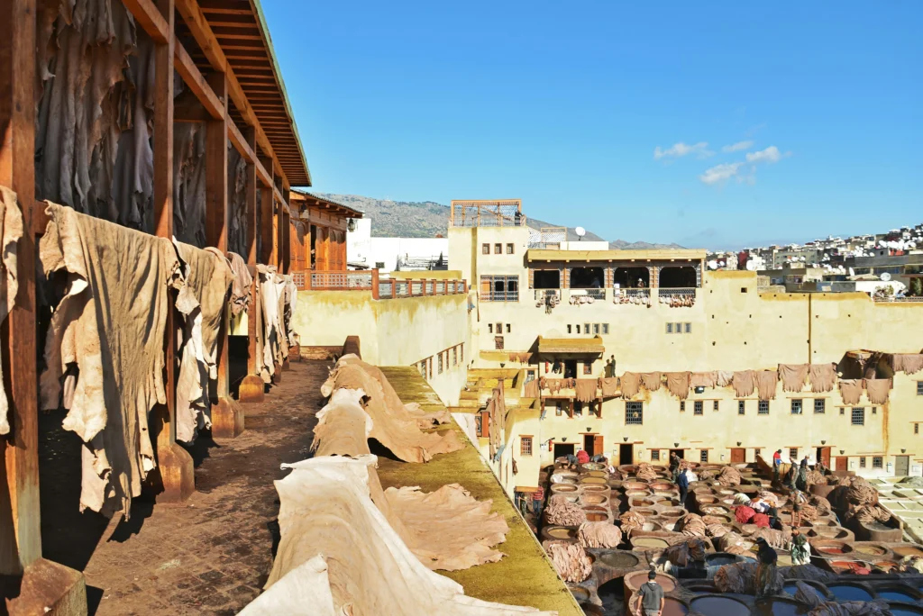 FES
